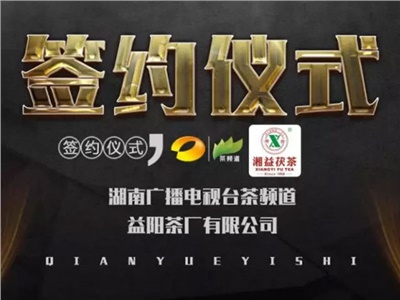 湘益茯，美茗揚 丨湘益茯茶與茶頻道達成長期戰(zhàn)略合作