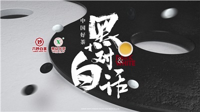 首屆黑白對(duì)話高峰論壇圓滿落幕！湘益茯茶備受關(guān)注！