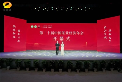 【聚焦第二十屆中國茶業(yè)經(jīng)濟(jì)年會(huì)】益陽茶廠榮獲“民族團(tuán)結(jié)互助企業(yè)”、“2024年度茶業(yè)重點(diǎn)企業(yè)”榮譽(yù)稱號(hào)